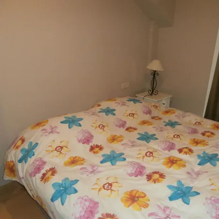 Luxury House Buena Vista Asn Holiday home